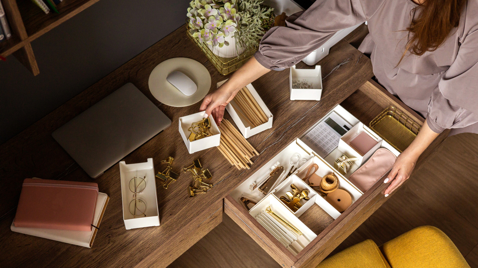 Herhangi bir depolama veya ekran kurulumunu anında yükselten dolar ağacı gerekli