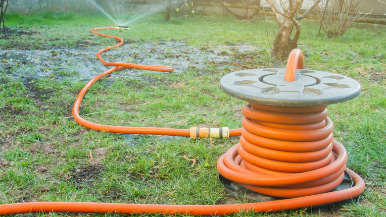 Düz bir makarada depolanan bir bahçe hortumu
