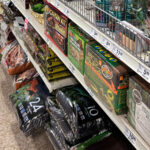 Bu yaratıcı akvaryum çakıl projesi ile ev bitkileri bir renk verin