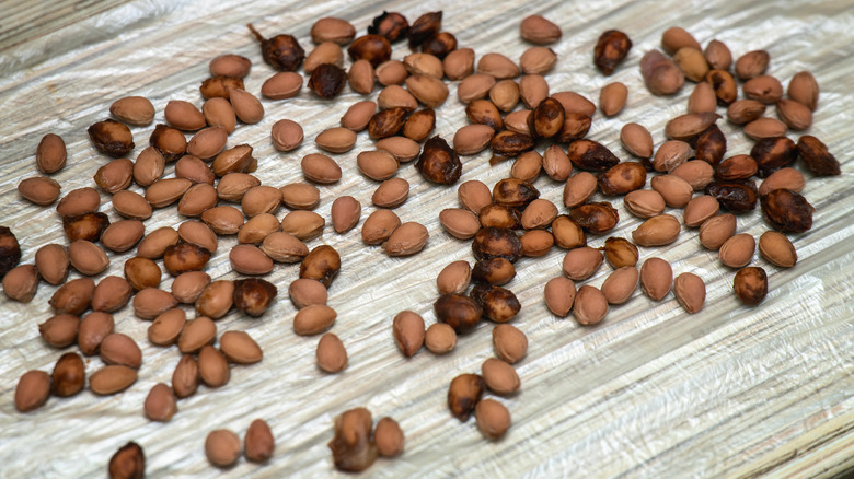 Temizlikten sonra bir masada kurutan kiraz çukurları yıkanmış.