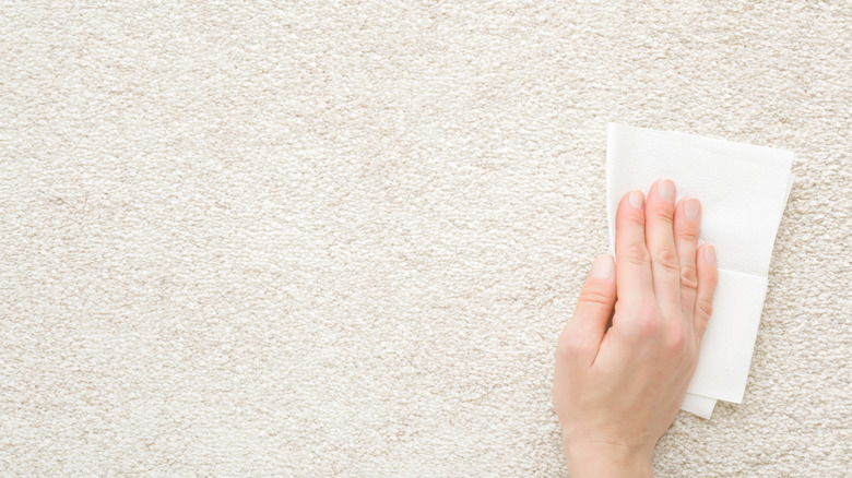 Beyaz bezle halı silme kişi