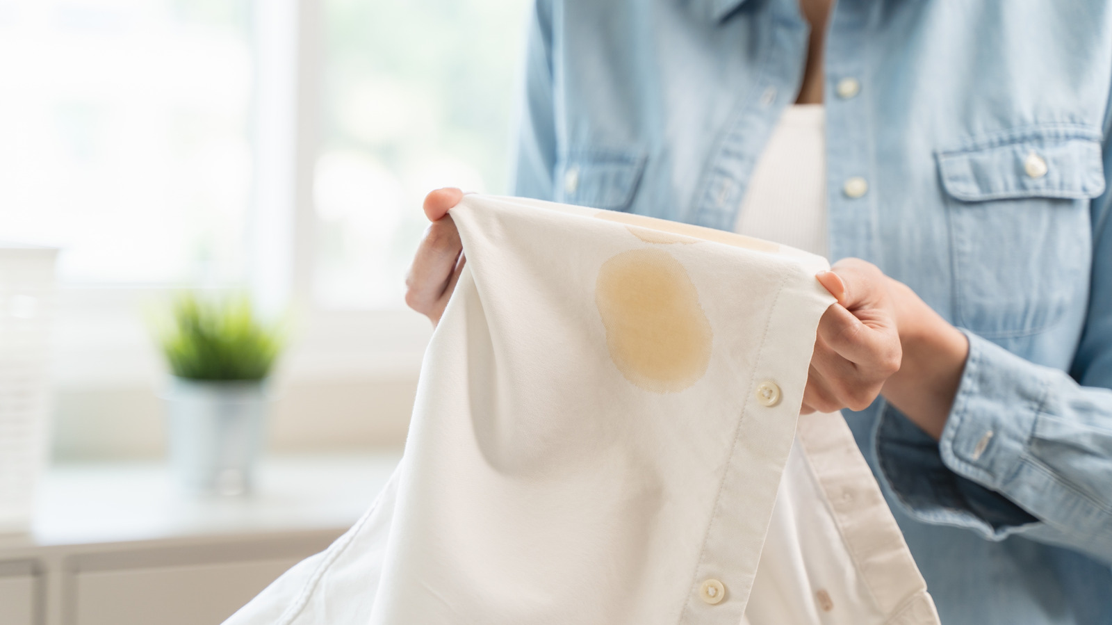 Dolar ağacı, zorlu çamaşır lekelerini çıkarmayı bir esinti haline getiren olmalıdır