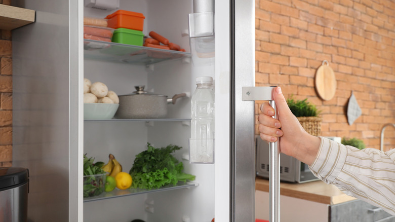 Kişi açılış buzdolabı