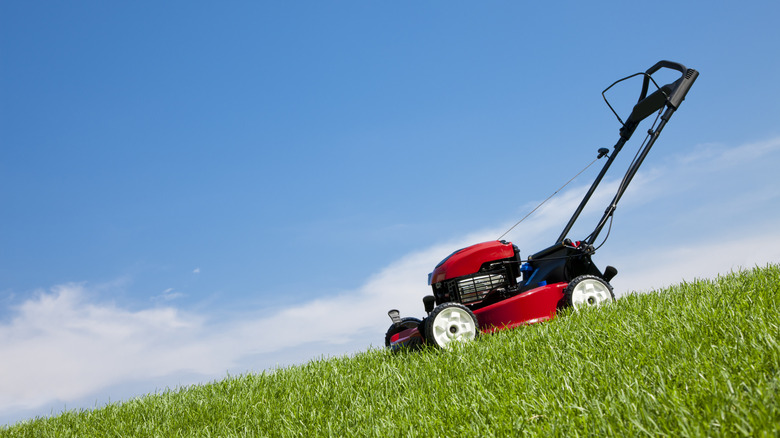 Açık mavi gökyüzünün altında yeşil çimenlerde kırmızı itme çim biçme makinesi