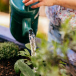 Alıcılara göre Costco Bulun Bahçeyi sulamak için bir oyun değiştirici