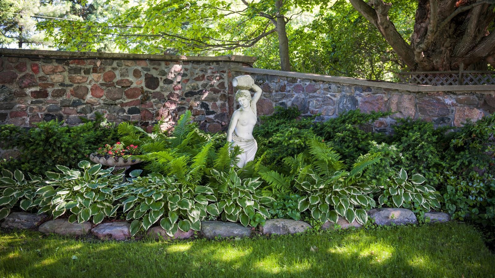 Bahçenizi zahmetsizce renkle dolduracak 17 hızlı büyüyen gölge bitkisi