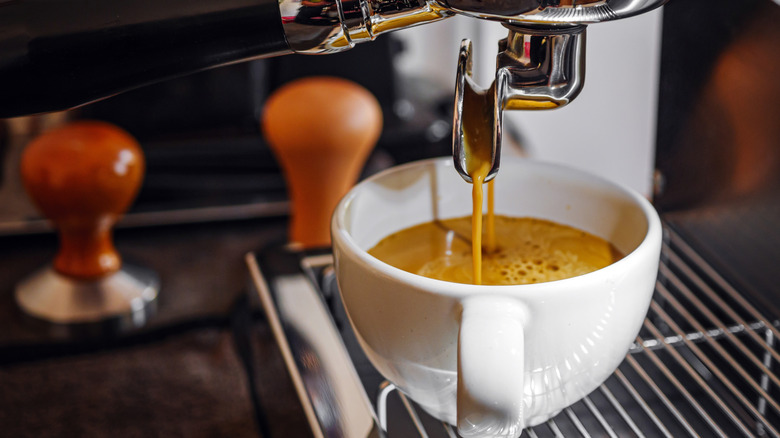 Beyaz kupaya kahve döken bir espresso makinesi