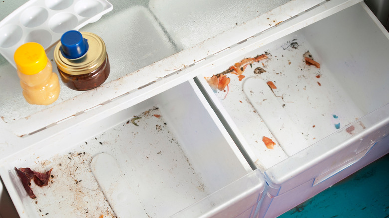 Lekeler ve gıda parçacıkları ile buzdolabı çekmeceleri.