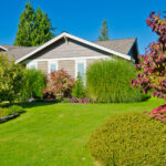 Ön bahçenize renk eklerken herhangi bir toprakta gelişen güzel çalı