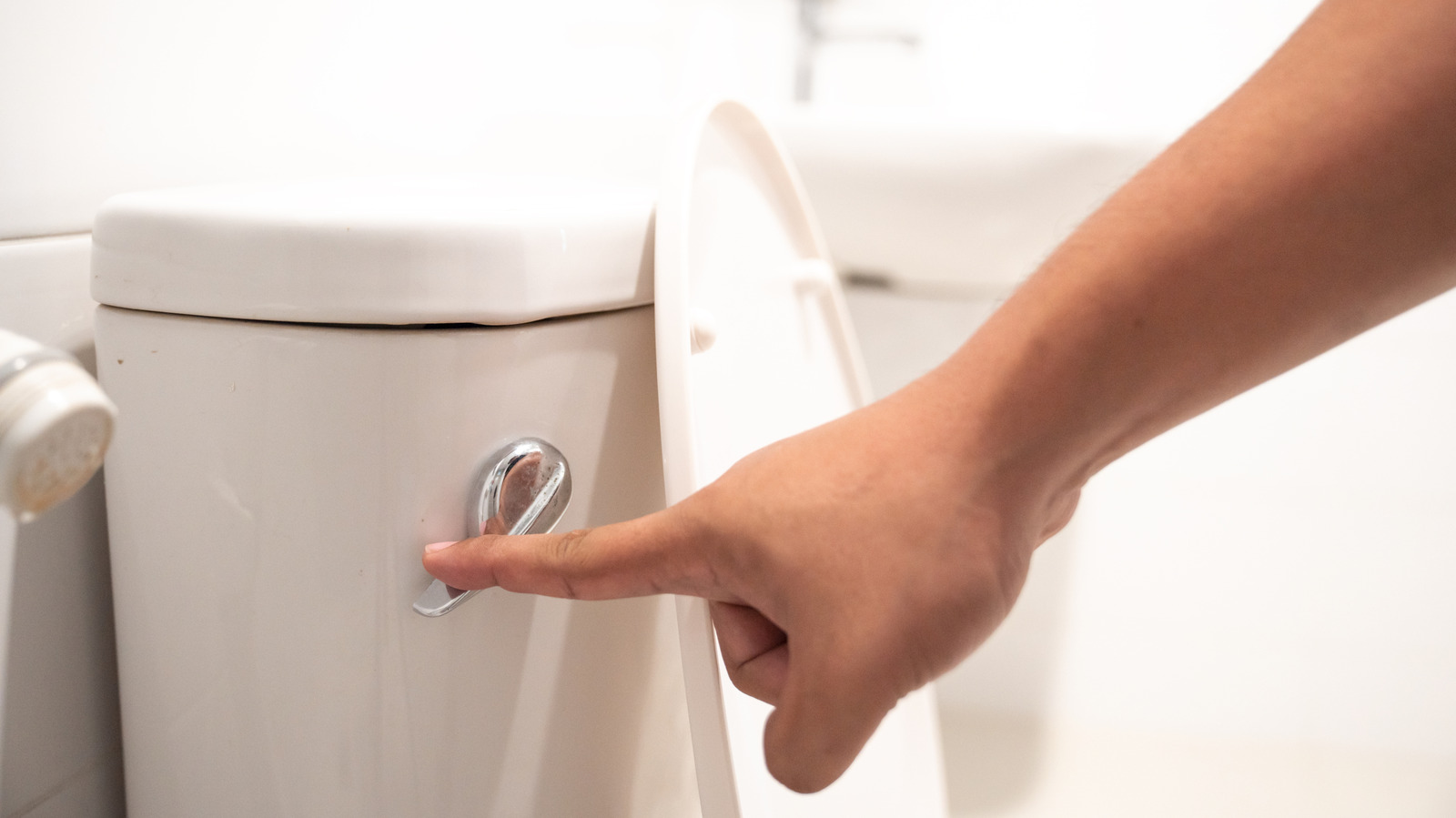 Basit bir önleyici düzeltme ile tuvaletinizdeki sert su lekelerine veda edin