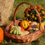 Bahçe toplantınızı yükseltmek için DIY hasat sepetleri nasıl şekillendirilir