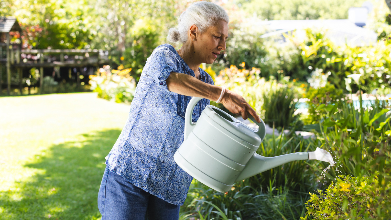 Süs çalma tozlayıcıları, bahçenizden doğal olarak pire caydırabilecek seviyor