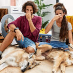 Evinizdeki kötü kokuları yasaklamak için tutulan bir çiçek kurbağa vazo nasıl yeniden kullanılır