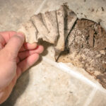 İşte soyunma ve çubuk vinil kullanmanın en sinir bozucu olumsuzluğunu nasıl önleyeceğiniz aşağıda açıklanmıştır.