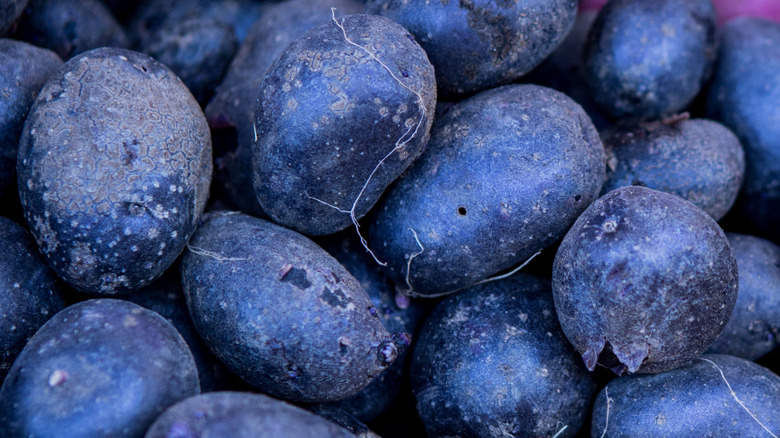 Mavi patates yığını