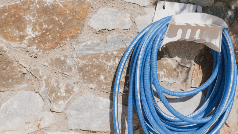 Güneşte askıda mavi bahçe hortumu