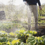 Büyük depolama hatası, hortumun ömrünü kısaltmaktır