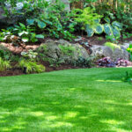 Bahçenize bir çiçekle benzersiz bir ormanlık his verin