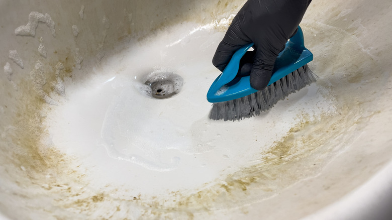 Bir havza ovan kişi