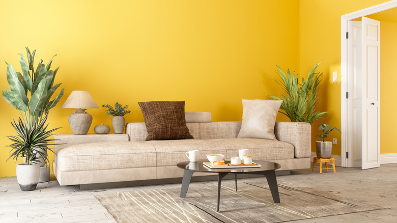 Bitkiler, kanepe ve masalı sarı bir oturma odası.