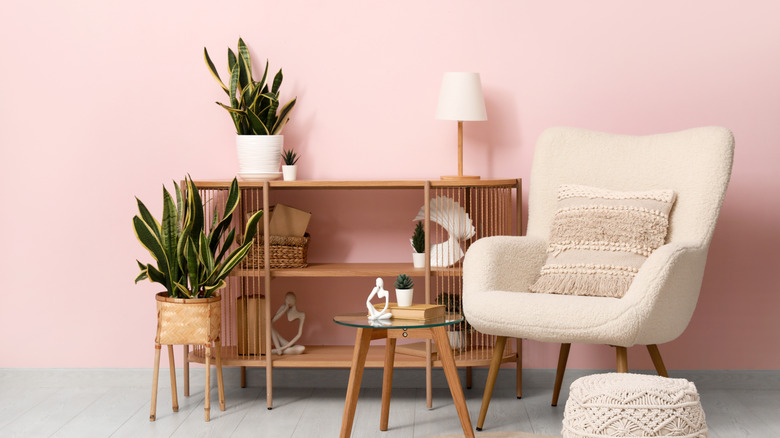 Beyaz sandalye, ahşap büfe ve bitkiler ile açık pembe bir oda