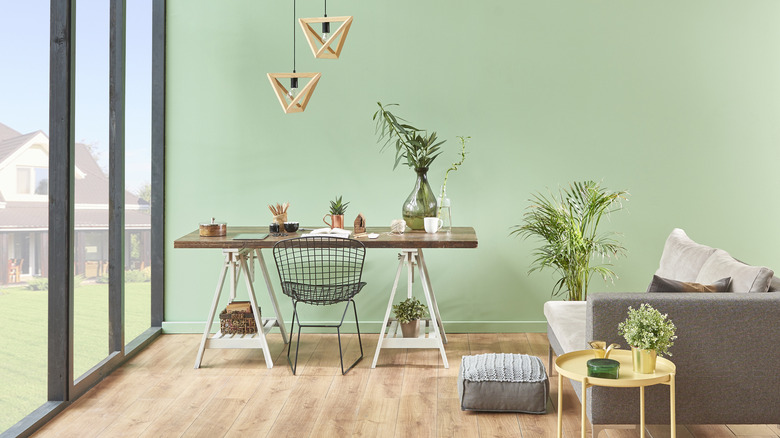 Bitkilerle dolu bir masa ile nane odası.