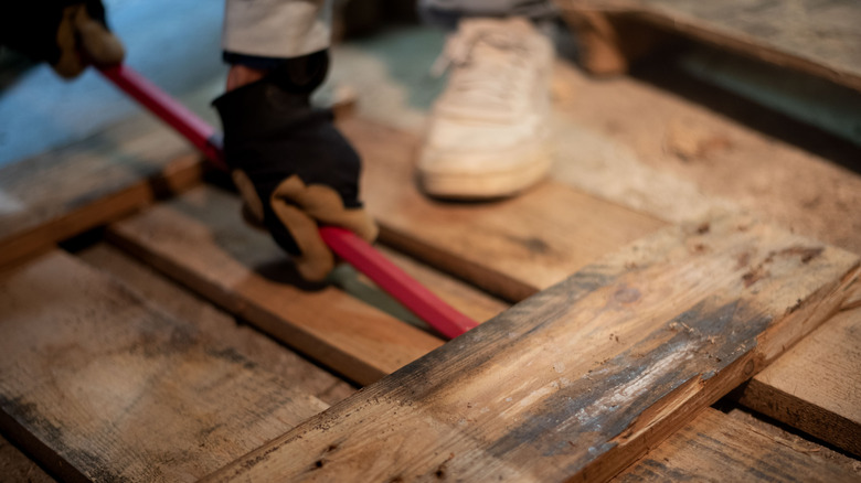 Bir ahşap palet tahtası altında bir gözetleme çubuğu tutan eller ve paleti aşağı tutan bir ayak