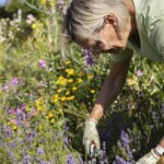 15 çok yıllık bitkiler sonbaharda budamalısınız