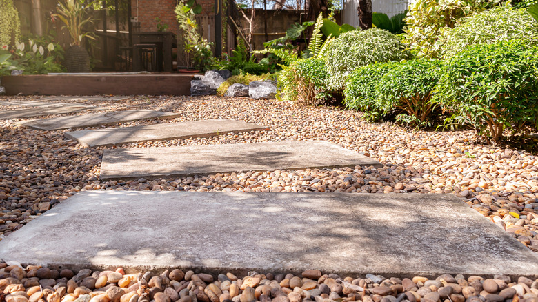 Bir çiçek yatağında bezelye çakıl