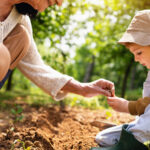 Bu sonbaharda ekmeniz gereken sert sebze