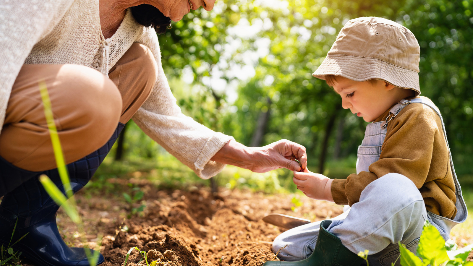 Bu sonbaharda ekmeniz gereken sert sebze