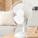 Sonbaharda temizlemeniz gereken hanehalkı cihazı (ama muhtemelen değil)