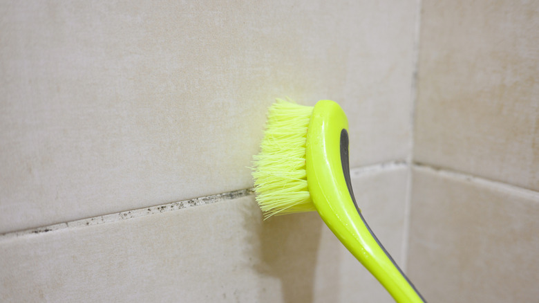 Yeşil fırça temizleme duş harç