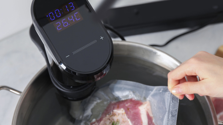 Siyah sous-vide sirkülatörü ile bir tencereden vakumla süslenmiş bir çanta eti çeken bir el