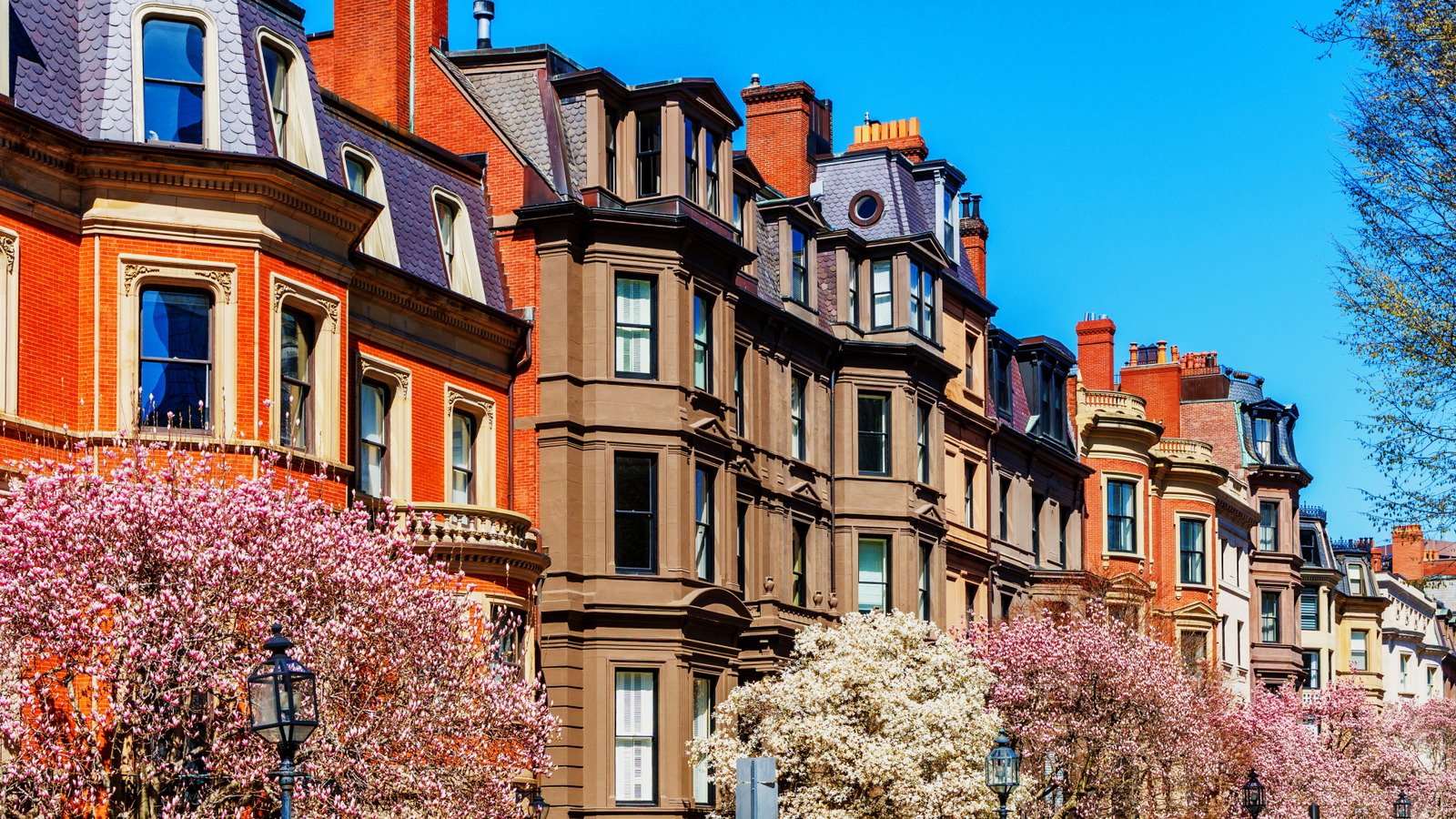 Evinize vintage çekicilik ekleyen asırlık pencere tasarımı seçimi