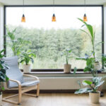 İç kaplarla gelişen ve bol miktarda meyve taşıyan tropikal ağaç