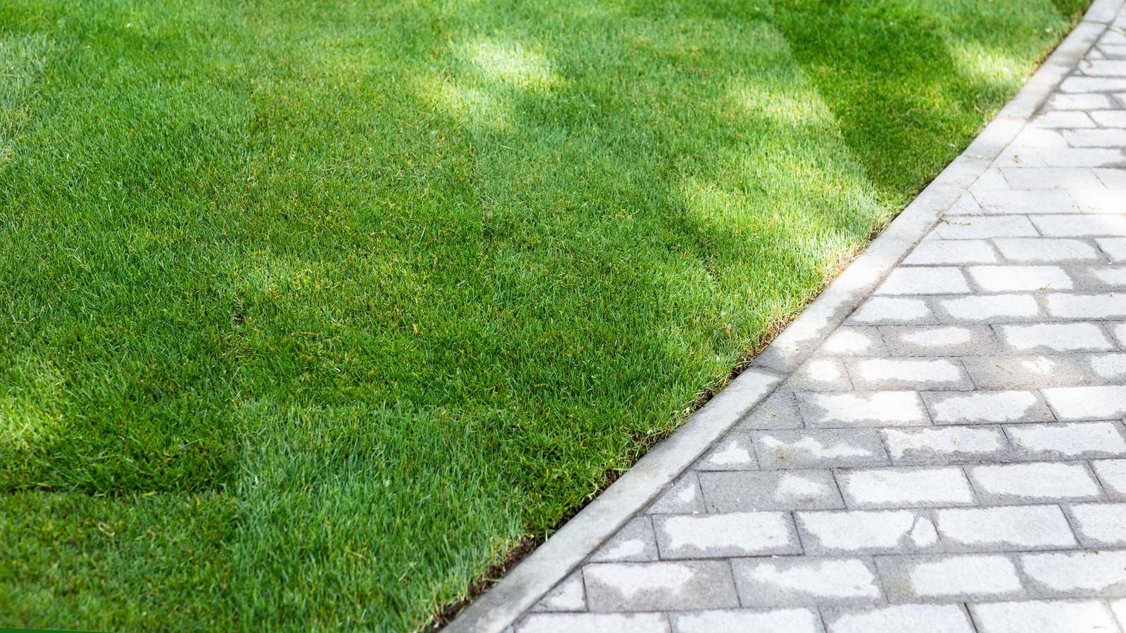 Kararık olmadan işi hızlı bir şekilde halleten çimlerinizi kenarda tutmak için kullanılması gereken araç