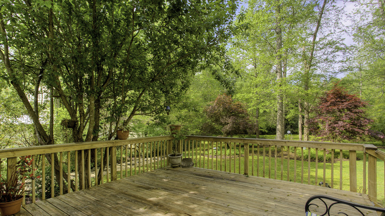 Veranda'nın üzerine eğilen yeşil ağaç