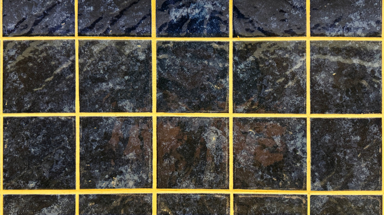 Parlak sarı harm ile siyah karolar