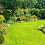 Bahçenizi çarpıcı çiçeklerle halı halletecek sert zemin örtüsü