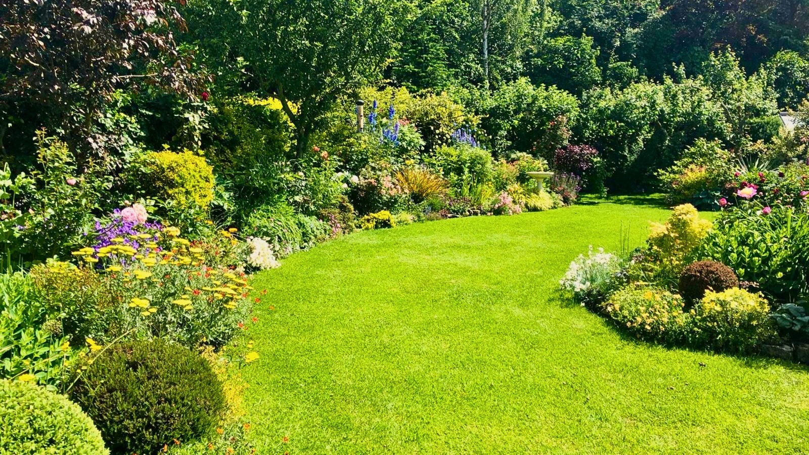 Bahçenizi çarpıcı çiçeklerle halı halletecek sert zemin örtüsü