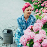 Zeki bir çelenk ile bütçeyle ortanca ile süsleyin DIY