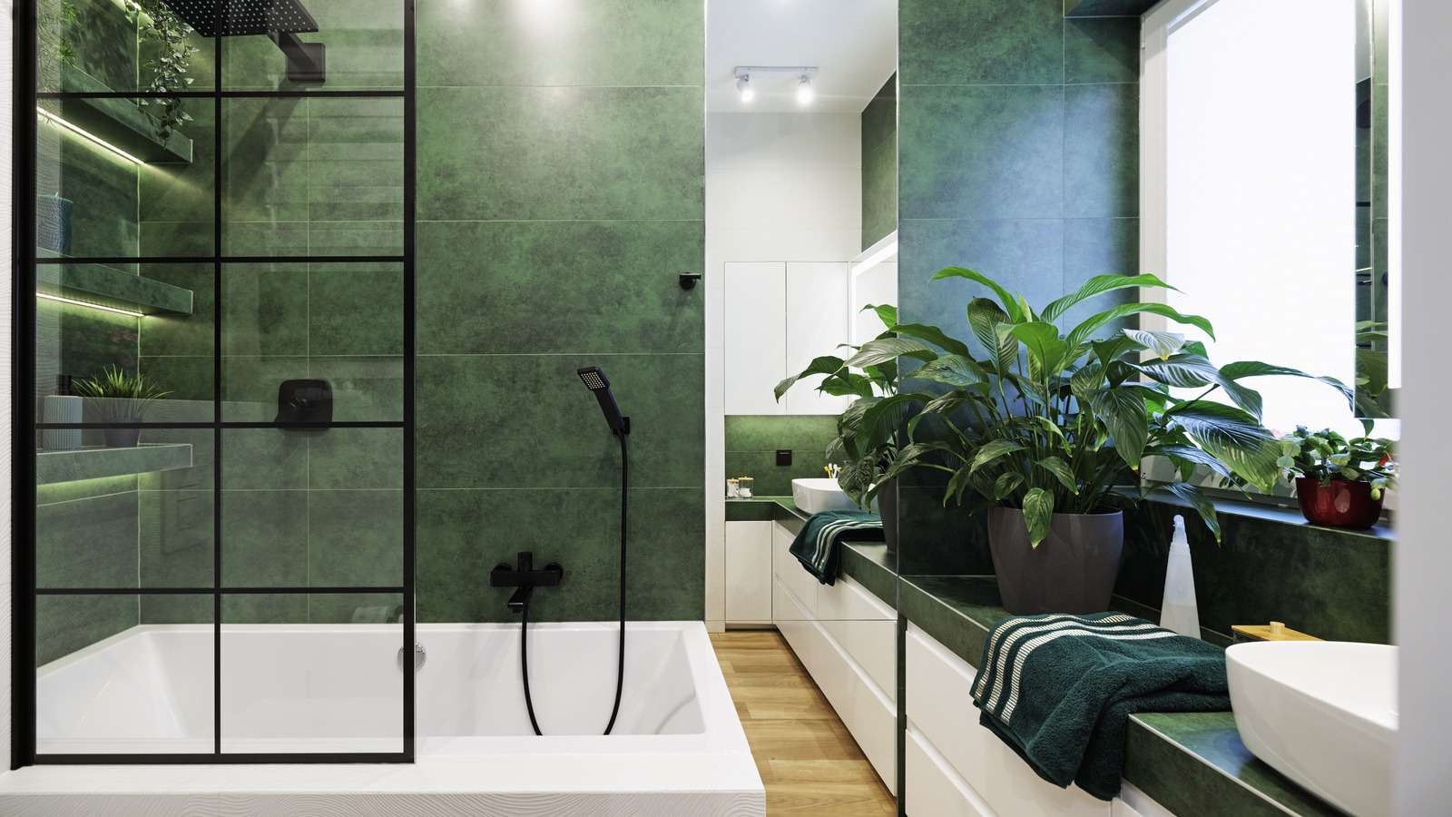 Duş büyüyen bitkiler için mükemmel bir yer mi? İşte bilmeniz gerekenler