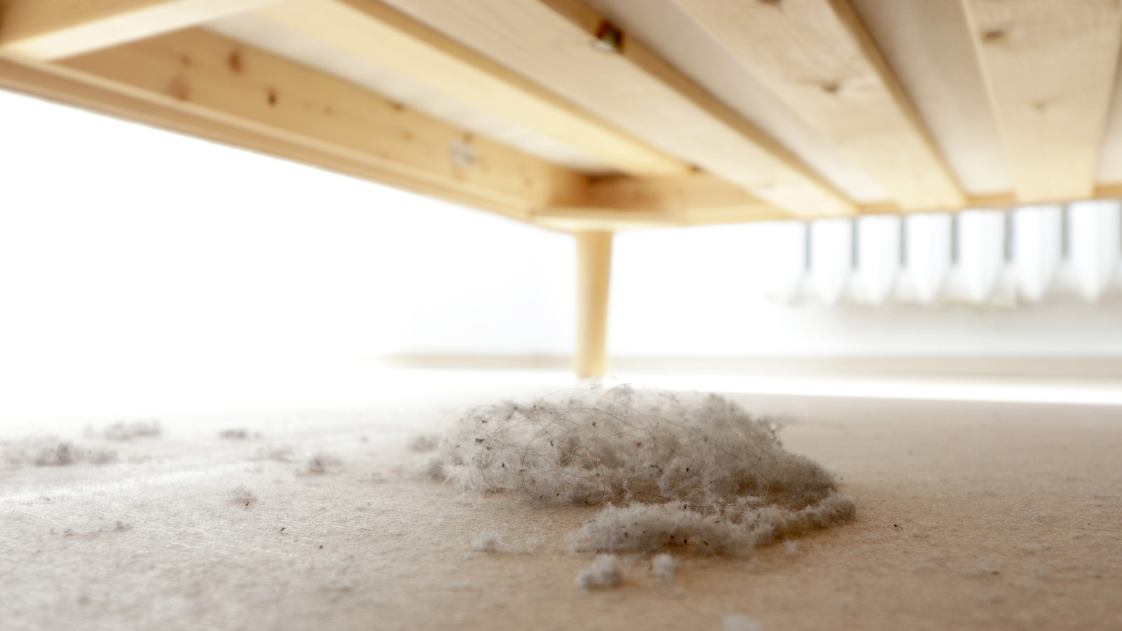 Yatağın altında temizlikten nefret mi ediyorsunuz? Kolay bir şekilde yap - kaldırma veya hareket gerekmez