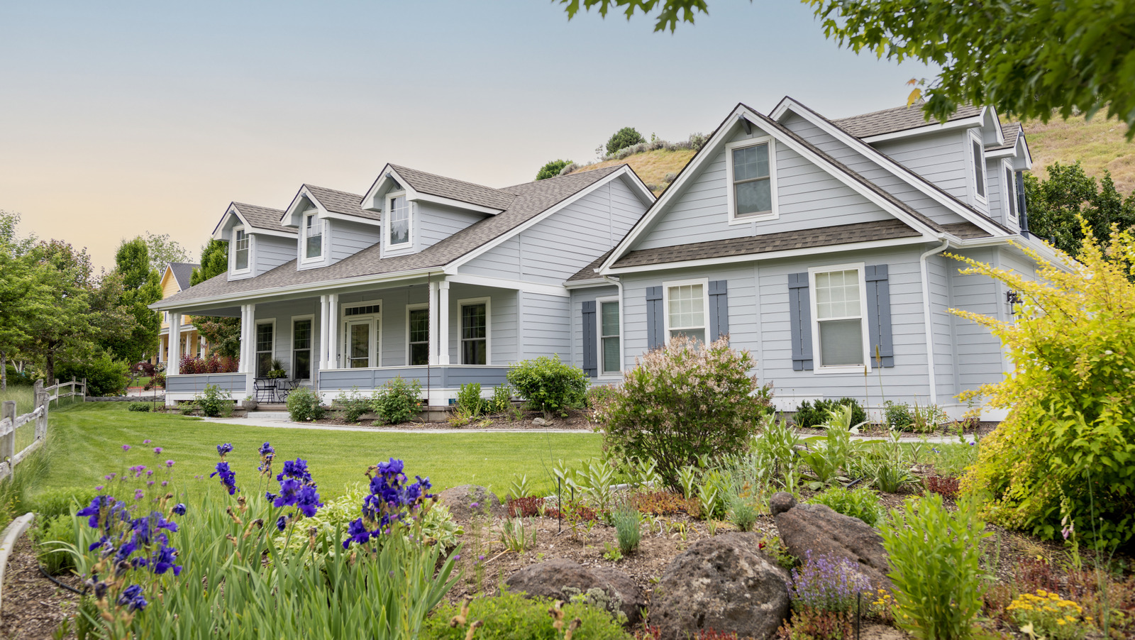 Bahçenize çikolatalı zengin bir renk getirebilen klasik çiçek