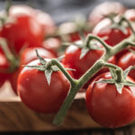 Kiraz domates yetiştirmek için en iyi yer bahçeniz olmayabilir