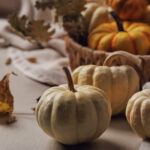 Dolar ağacı köpük kabaklarını hızlı ve kolay bir DIY ile mumlara çevirin