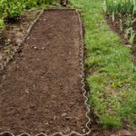 İlkbaharda sağlıklı bahçe toprağı için sonbaharda ekilecek bitkiler örtün