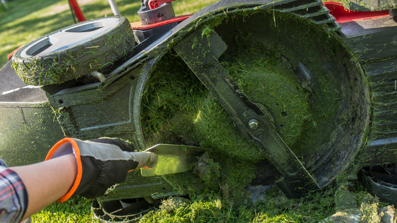 Kişi Temizleme Biçme Bıçağı