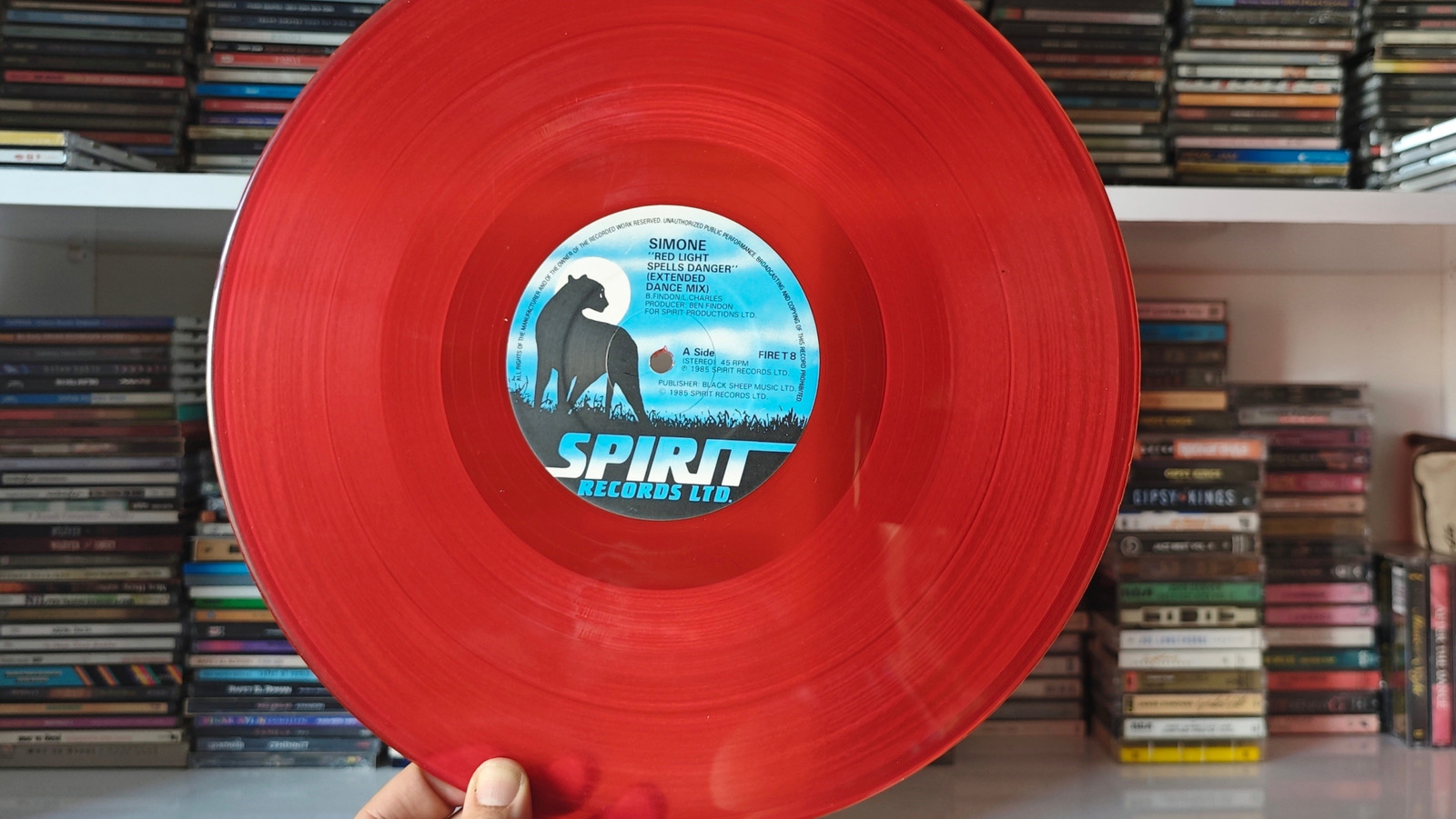 Gizli riskli beyinsiz vinil kayıt depolama çözümü